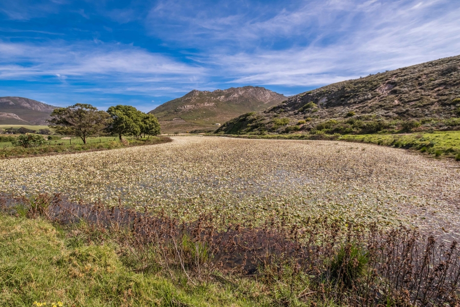 15 Bedroom Property for Sale in Stanford Western Cape